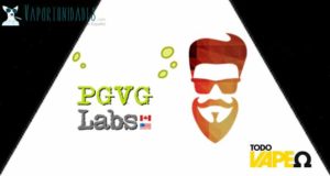 Pgvg labs