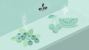 ¿qué combinación elegir en bjbvapes. Mx entre fruta y menta?